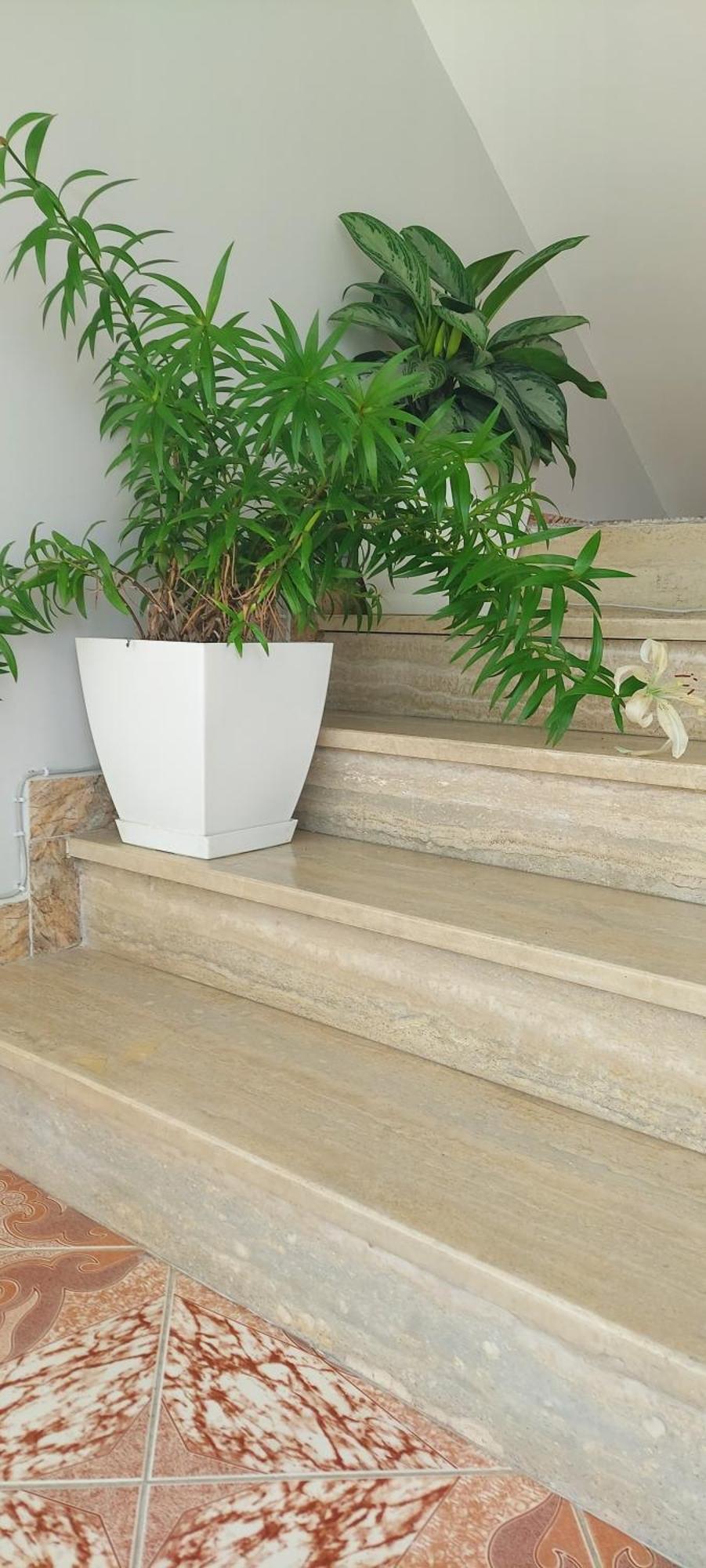 Hotel Fama Škalngur Εξωτερικό φωτογραφία